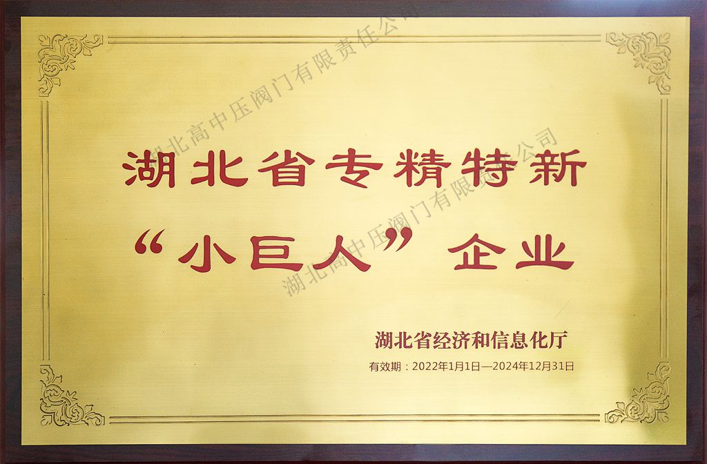 13.專(zhuān)精特新小巨人 拷貝