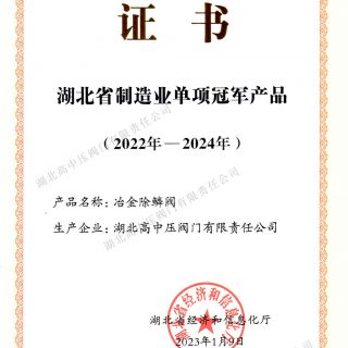 湖北省制造業(yè)單項冠軍證書